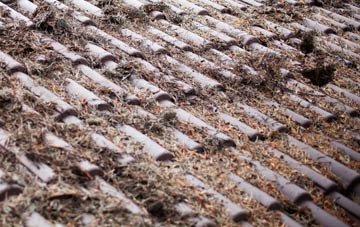 Lentran roof cleaning companies