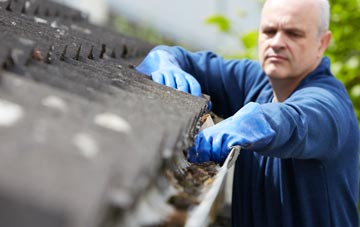cleaning and inspecting Lentran roofs