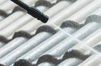 rated Lentran roof cleaning companies